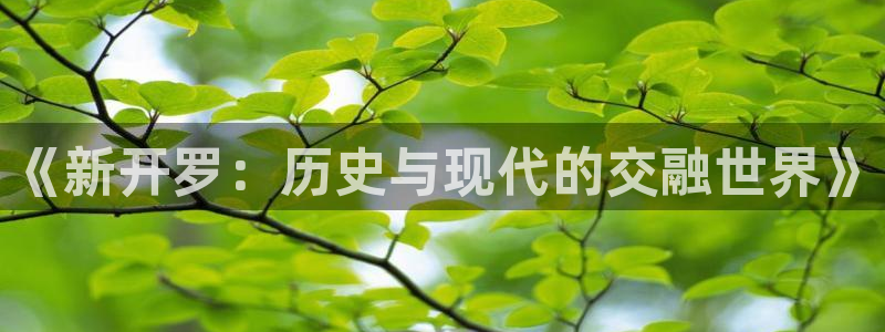 游戏平台乐玩怎么玩